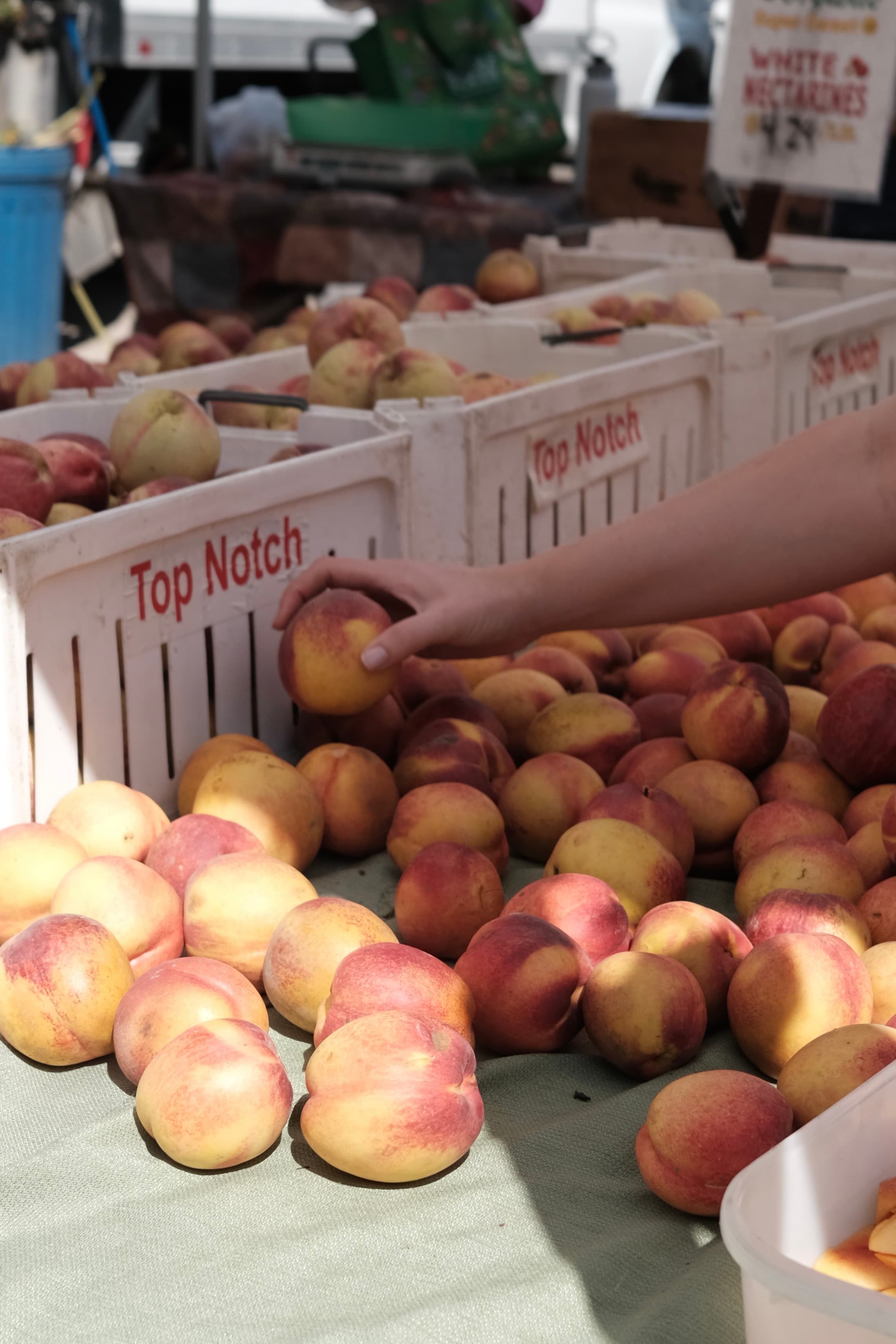 White peaches in crates at a farmers' market